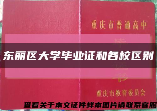 東麗區大學畢業證和各校區別縮略圖