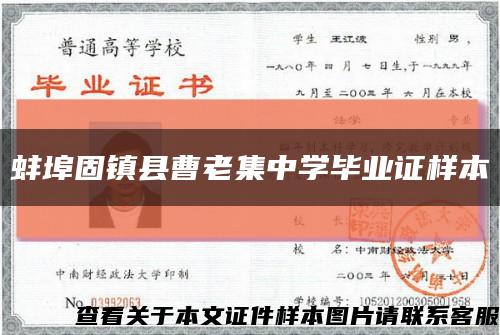 蚌埠固鎮縣曹老集中學畢業證樣本縮略圖