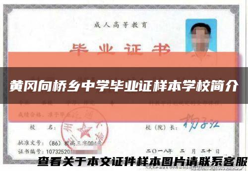 黃岡向橋鄉中學畢業證樣本學校簡介縮略圖