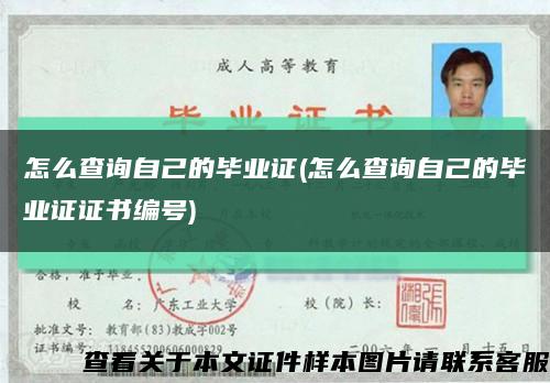 怎么查詢自己的畢業證(怎么查詢自己的畢業證證書編號)縮略圖