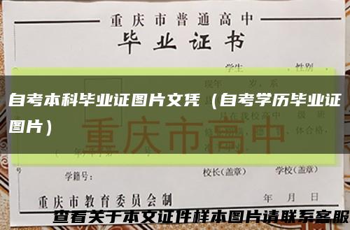 自考本科畢業證圖片文憑（自考學歷畢業證圖片）縮略圖