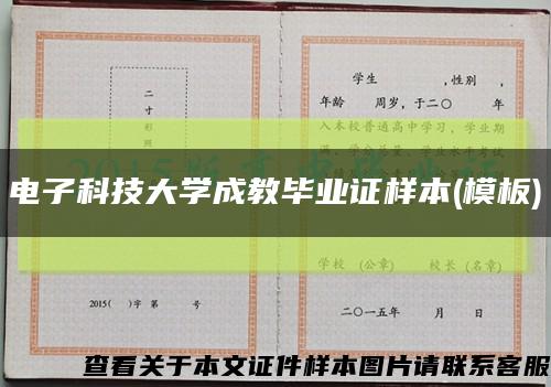 電子科技大學成教畢業證樣本(模板)縮略圖