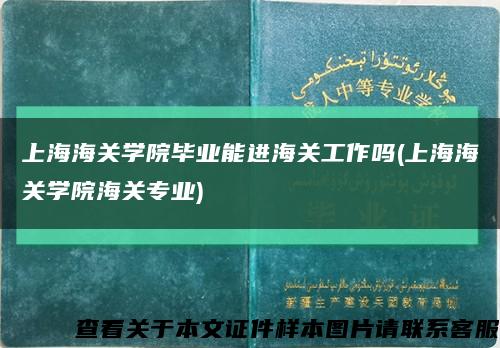 上海海關學院畢業能進海關工作嗎(上海海關學院海關專業)縮略圖
