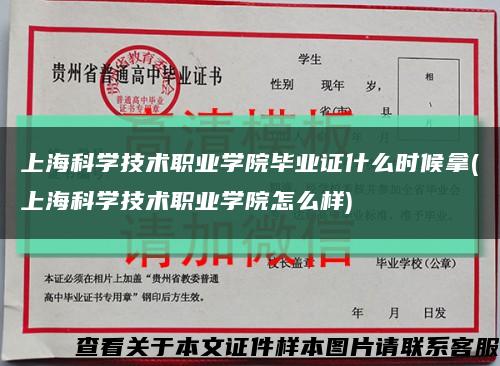 上?？茖W技術職業學院畢業證什么時候拿(上?？茖W技術職業學院怎么樣)縮略圖