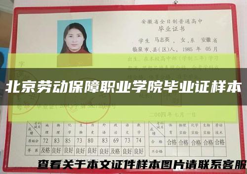 北京勞動保障職業學院畢業證樣本縮略圖