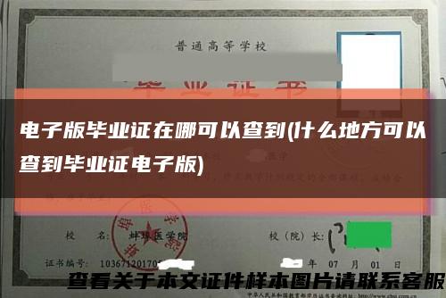 電子版畢業證在哪可以查到(什么地方可以查到畢業證電子版)縮略圖