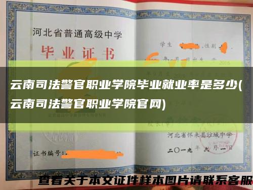 云南司法警官職業學院畢業就業率是多少(云南司法警官職業學院官網)縮略圖