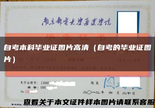 自考本科畢業證圖片高清（自考的畢業證圖片）縮略圖
