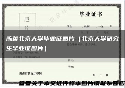 陳哲北京大學畢業證圖片（北京大學研究生畢業證圖片）縮略圖
