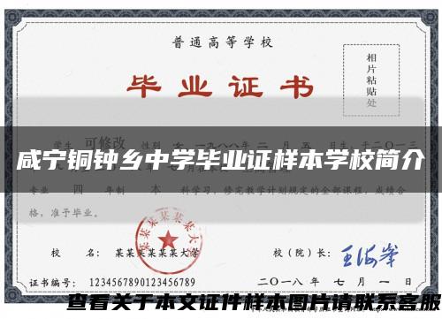 咸寧銅鐘鄉中學畢業證樣本學校簡介縮略圖
