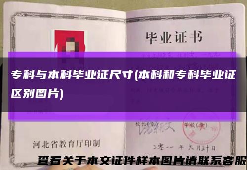 ?？婆c本科畢業證尺寸(本科和?？飘厴I證區別圖片)縮略圖