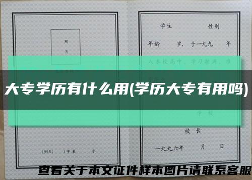 大專學歷有什么用(學歷大專有用嗎)縮略圖