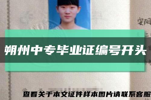 朔州中專畢業證編號開頭縮略圖