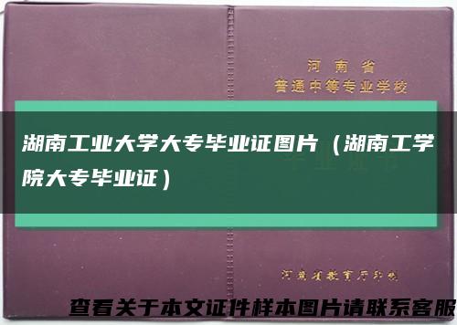 湖南工業大學大專畢業證圖片（湖南工學院大專畢業證）縮略圖