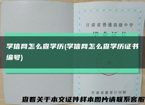 學信網怎么查學歷(學信網怎么查學歷證書編號)縮略圖