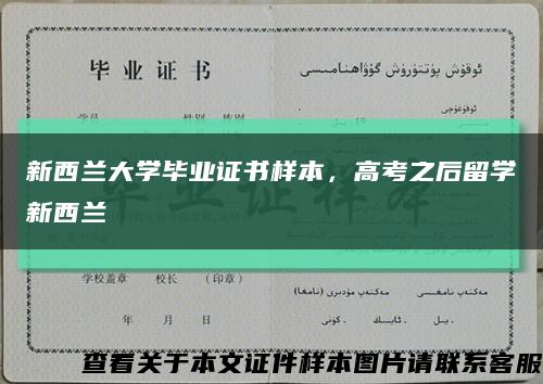 新西蘭大學畢業證書樣本，高考之后留學新西蘭縮略圖