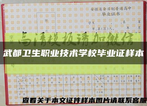 武都衛生職業技術學校畢業證樣本縮略圖