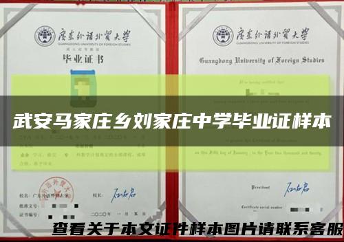 武安馬家莊鄉劉家莊中學畢業證樣本縮略圖
