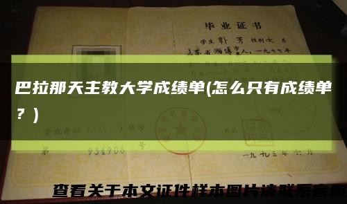 巴拉那天主教大學成績單(怎么只有成績單？)縮略圖
