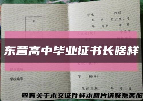 東營高中畢業證書長啥樣縮略圖