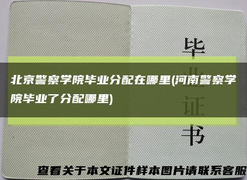 北京警察學院畢業分配在哪里(河南警察學院畢業了分配哪里)縮略圖