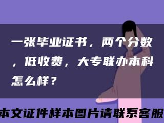 一張畢業證書，兩個分數，低收費，大專聯辦本科怎么樣？縮略圖