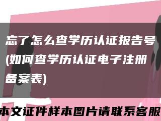 忘了怎么查學歷認證報告號(如何查學歷認證電子注冊備案表)縮略圖