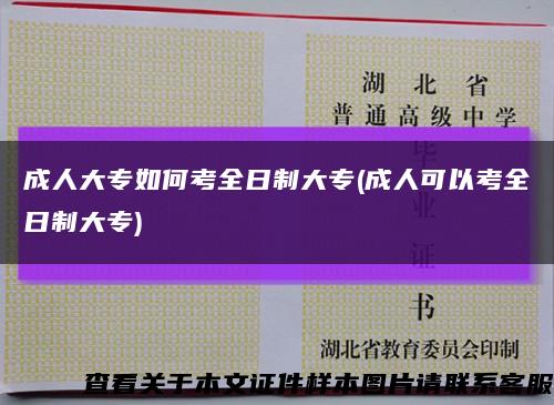 成人大專如何考全日制大專(成人可以考全日制大專)縮略圖