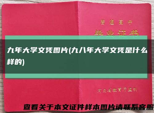 九年大學文憑圖片(九八年大學文憑是什么樣的)縮略圖