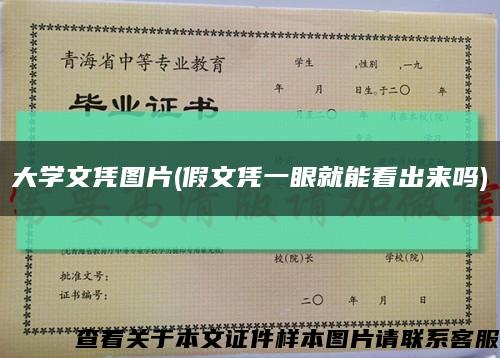 大學文憑圖片(假文憑一眼就能看出來嗎)縮略圖