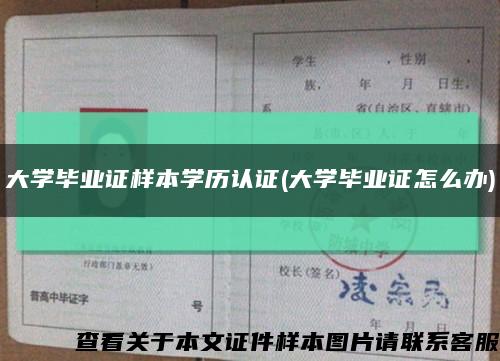 大學畢業證樣本學歷認證(大學畢業證怎么辦)縮略圖
