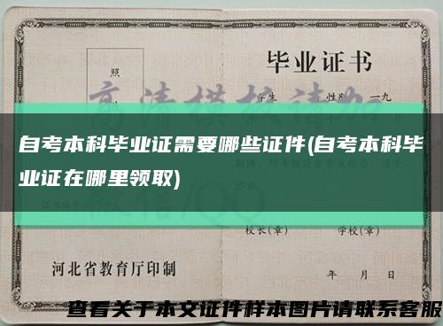 自考本科畢業證需要哪些證件(自考本科畢業證在哪里領取)縮略圖