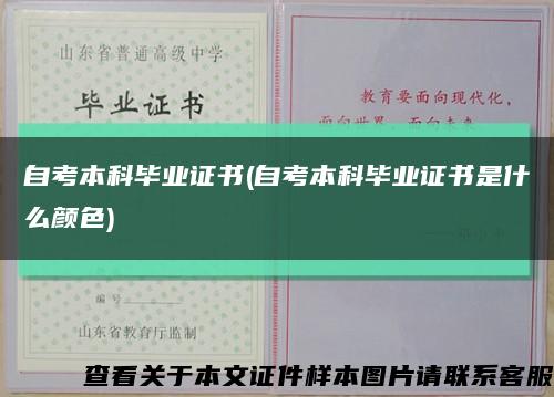 自考本科畢業證書(自考本科畢業證書是什么顏色)縮略圖