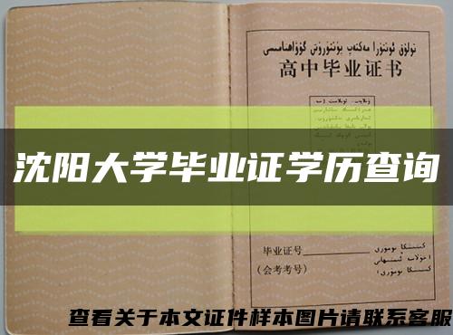 沈陽大學畢業證學歷查詢縮略圖
