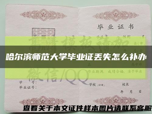哈爾濱師范大學畢業證丟失怎么補辦縮略圖