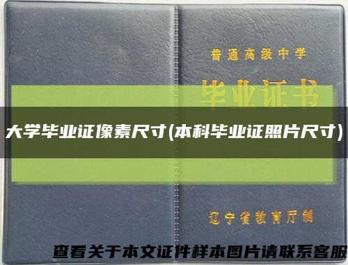 大學畢業證像素尺寸(本科畢業證照片尺寸)縮略圖