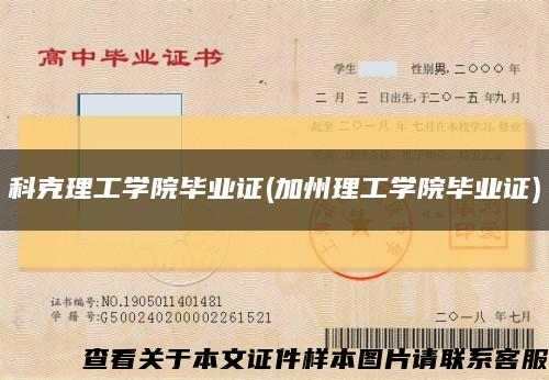 科克理工學院畢業證(加州理工學院畢業證)縮略圖