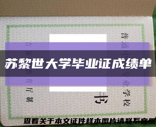 蘇黎世大學畢業證成績單縮略圖