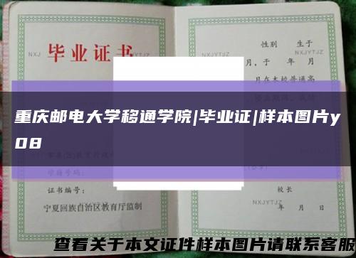 重慶郵電大學移通學院|畢業證|樣本圖片y08縮略圖
