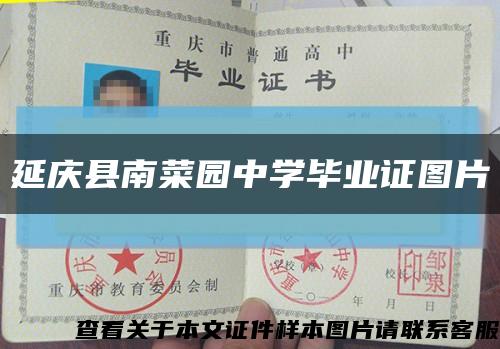 延慶縣南菜園中學畢業證圖片縮略圖