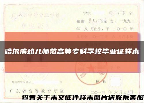 哈爾濱幼兒師范高等?？茖W校畢業證樣本縮略圖