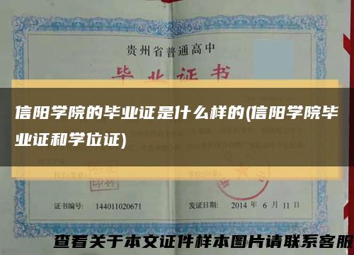 信陽學院的畢業證是什么樣的(信陽學院畢業證和學位證)縮略圖