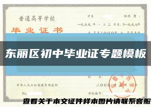 東麗區初中畢業證專題模板縮略圖