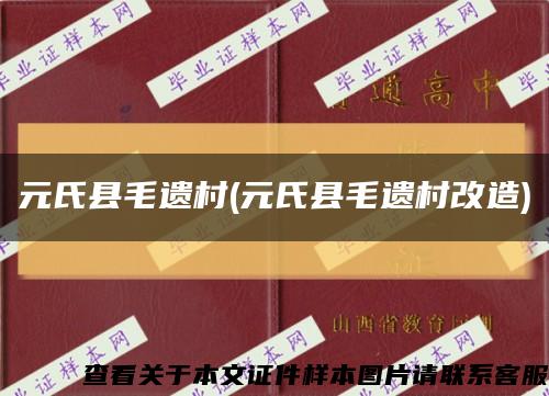 元氏縣毛遺村(元氏縣毛遺村改造)縮略圖