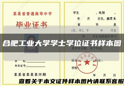 合肥工業大學學士學位證書樣本圖縮略圖