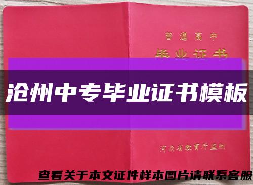 滄州中專畢業證書模板縮略圖