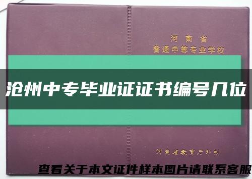 滄州中專畢業證證書編號幾位縮略圖