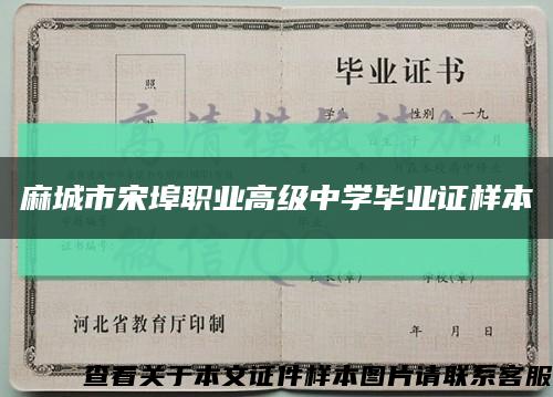 麻城市宋埠職業高級中學畢業證樣本縮略圖