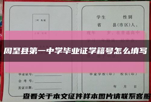 周至縣第一中學畢業證學籍號怎么填寫縮略圖