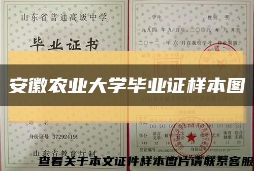 安徽農業大學畢業證樣本圖縮略圖